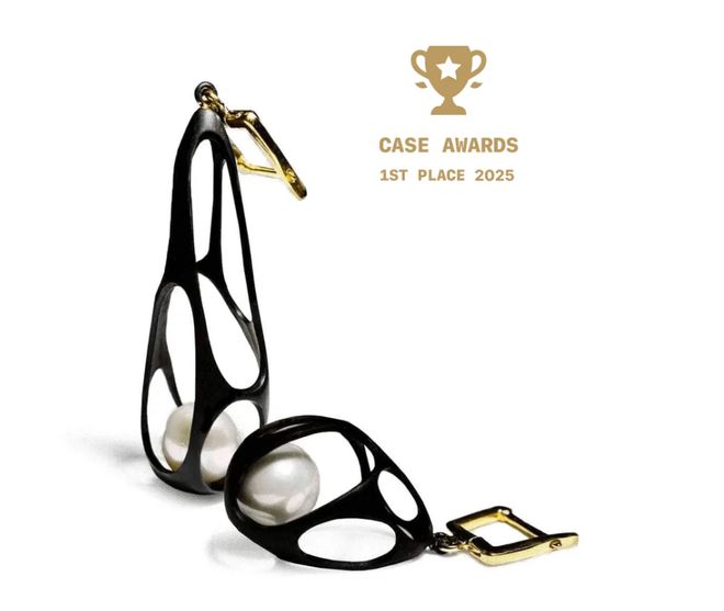 wards 8件获奖作品出炉煤精耳环惊艳全场AG真人游戏平台颠覆传统珠宝！Case A(图6)